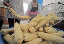 수입 식용 옥수수 128만톤 올해 말까지 ‘무관세’