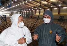 “축산분야 폭염 피해 막아라”…정부 총력 대응 나선다