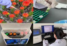 경기도 농기원, 생산성 향상을 위한 ‘접목선인장 바이러스 분석시스템’ 구축