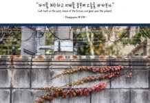 용산기지→용산공원, 전환기 모습 담은 사진전 열린다
