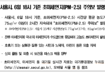 서울광장 스케이트장, 대기질 악화로 6일(금) 오후 6시 30분부터 운영 중단