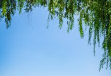 전국 76곳 국가유산 무료 관람 기회 놓치지 마세요 white and red concrete building