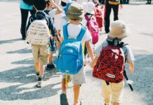 어린이 안전에 6550억 원 투입…‘사고위험 경고’ 횡단보도 설치 등 people walking on gray concrete road during daytime