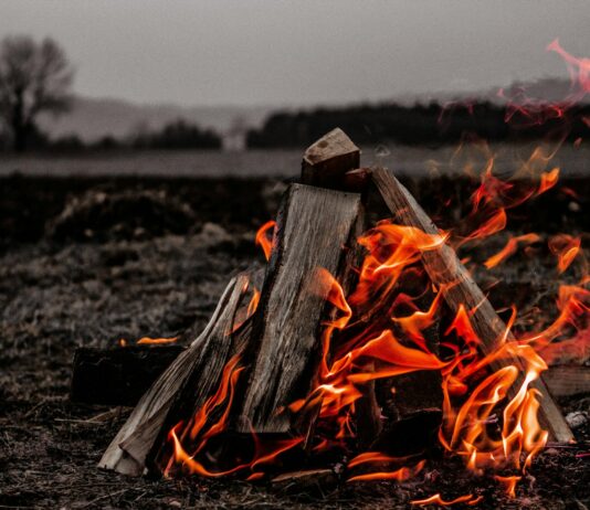 이산화탄소 소화약제 방출 시 냄새 나게한다…질식 사고 예방 brown bonfire on gray field