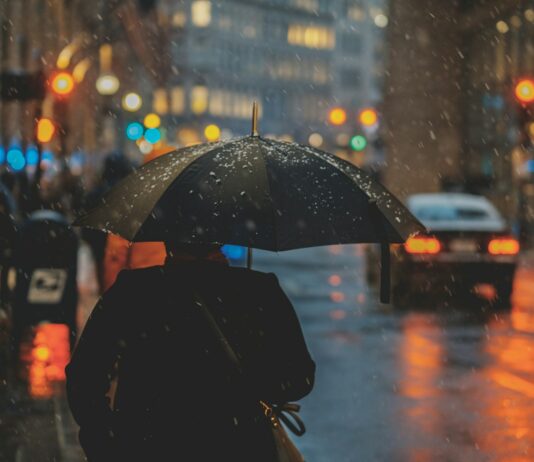 장마 본격화…정부 “철저한 사전 대비와 선제 대응으로 피해 최소화” person walking on street and holding umbrella while raining with vehicle nearby