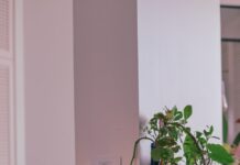 여름철 쾌적한 실내 공기 유지법 green plant on blue ceramic pot