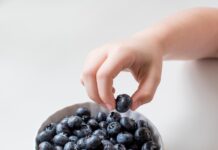 건강한 삶의 시작: 식단과 운동으로 이루는 웰니스 라이프 person holding bowl of black berries