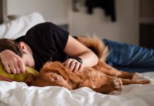 겨울철 피로 회복과 다이어트, 두 마리 토끼 잡기 person in black shirt lying on bed