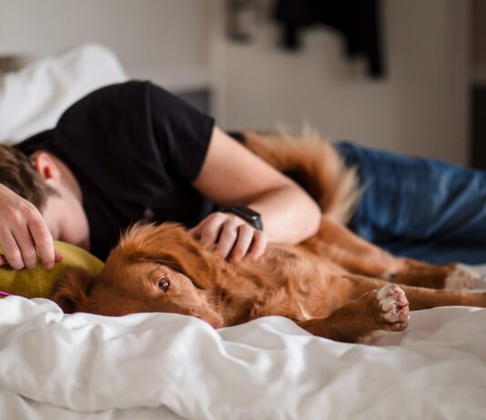 겨울철 피로 회복과 다이어트, 두 마리 토끼 잡기 person in black shirt lying on bed