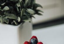 음식과 운동으로 건강한 장 만들기 blueberries and raspberries