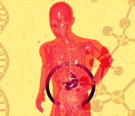 “밥은 먹었는데 계속 출출해요”…초여름 ‘위산 역류’가 만든 착각 a picture of a human body with a diagram of the human body