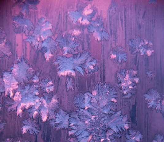 갱년기 증상 완화와 호르몬 건강, 슬기로운 변화의 첫걸음 ice particles artwork