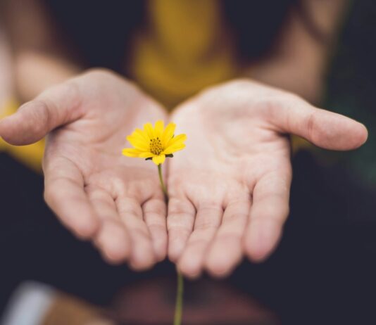 정신건강, 몸과 마음이 모두 건강해지는 첫걸음 selective focus photography of woman holding yellow petaled flowers