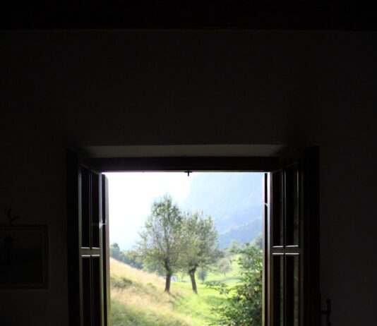 “마음 챙김에서 디지털 디톡스까지, 일상 속 정신건강 지키는 생활 루틴 주목” A window frames a lush green landscape.