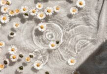 나를 돌보는 새로운 습관, 웰니스 문화가 바꾸는 일상 white and blue floral textile