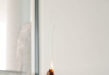 일상 속 대체요법, 건강한 휴식 찾기 위한 새로운 선택지로 부상 person holding orange flower in front of white wall