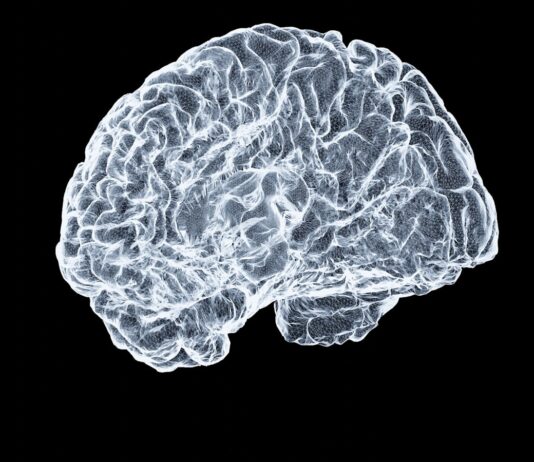 젊고 건강한 뇌, 일상 속 루틴으로 지킨다 a close up of a human brain on a black background